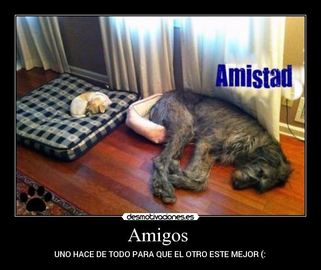 Amigos  - 