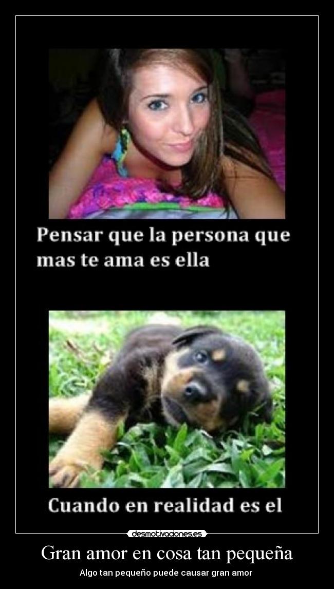 Gran amor en cosa tan pequeña - Algo tan pequeño puede causar gran amor 