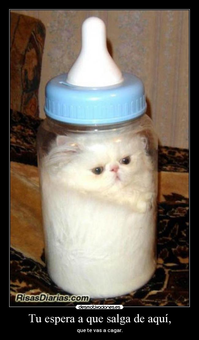 Tu espera a que salga de aquí, -