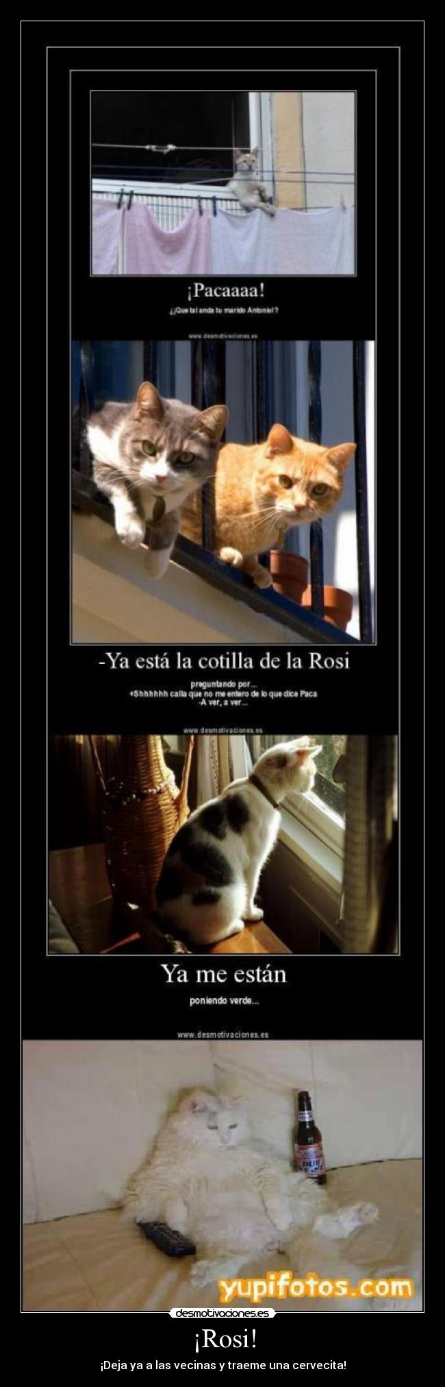 carteles sdaf desmotivaciones