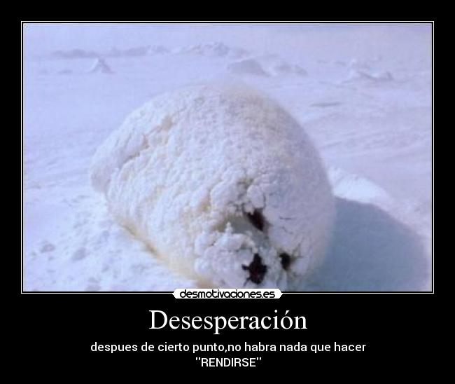 Desesperación - 