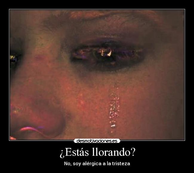 ¿Estás llorando? -