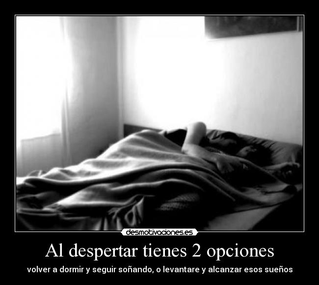 Imagenes Graciosas Al Despertar | al despertar tienes 2 opciones desmotivaciones Imagenes Graciosas Al Despertar | al despertar tienes 2 opciones desmotivaciones