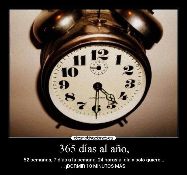 365 días al año, -