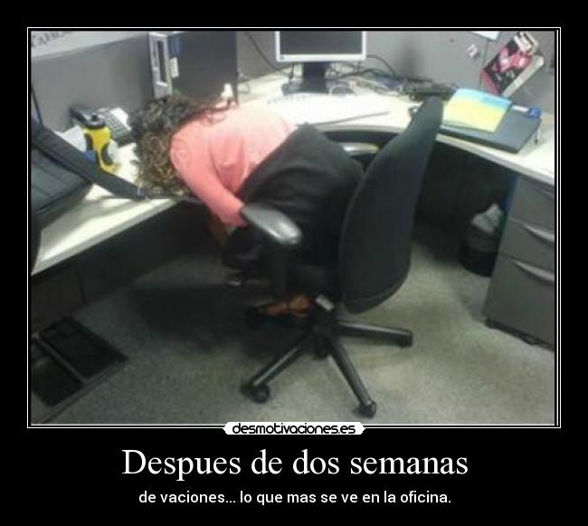 Despues de dos semanas - de vaciones... lo que mas se ve en la oficina.