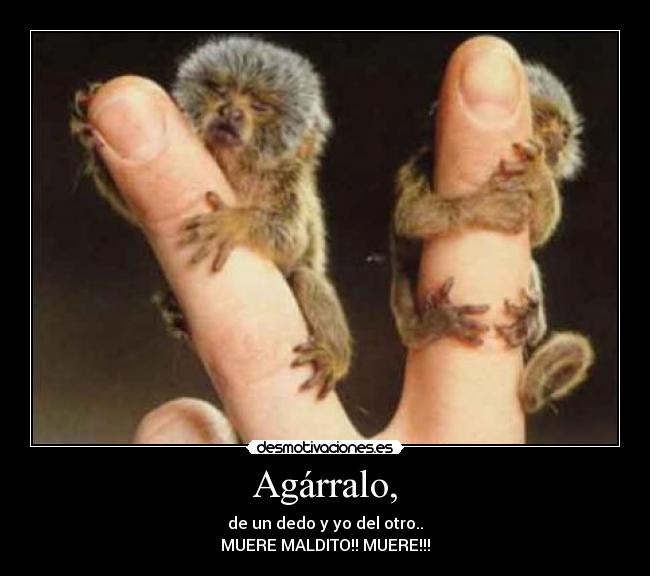 Agárralo, - de un dedo y yo del otro..
MUERE MALDITO!! MUERE!!!