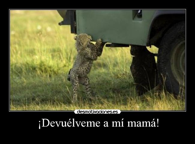 ¡Devuélveme a mí mamá! -