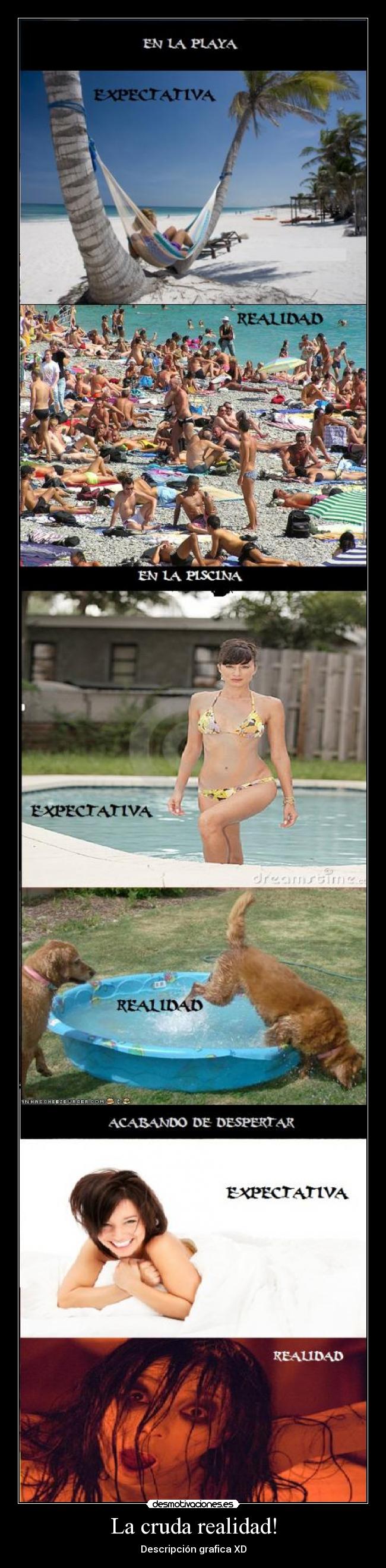 La cruda realidad! - Descripción grafica XD