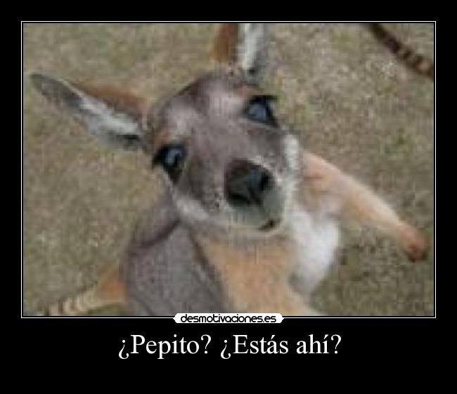 ¿Pepito? ¿Estás ahí? -