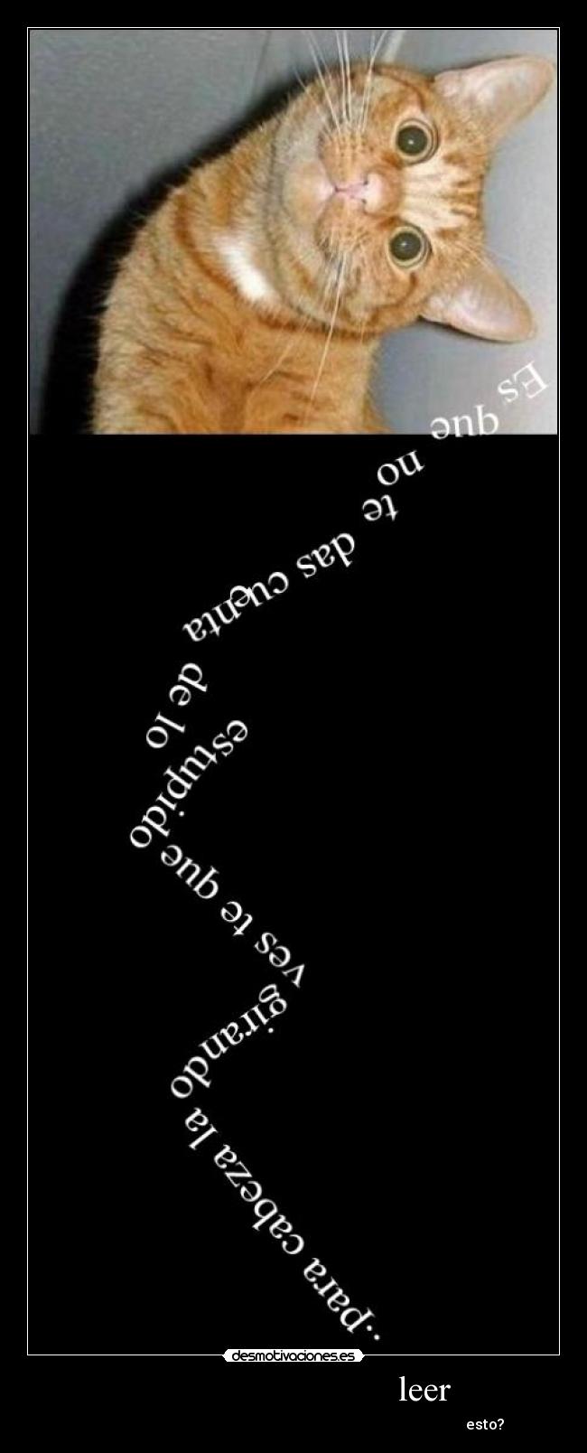 leer - esto?