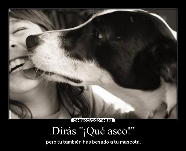 Dirás ¡Qué asco! - 