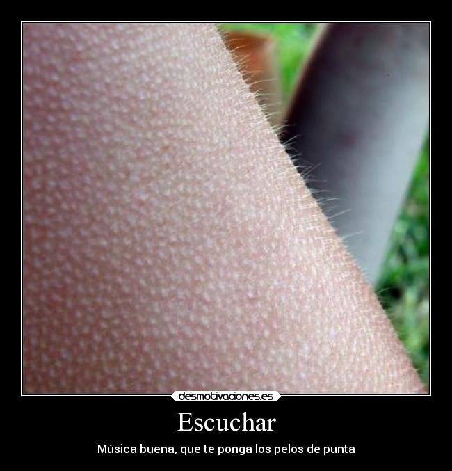 Escuchar - 