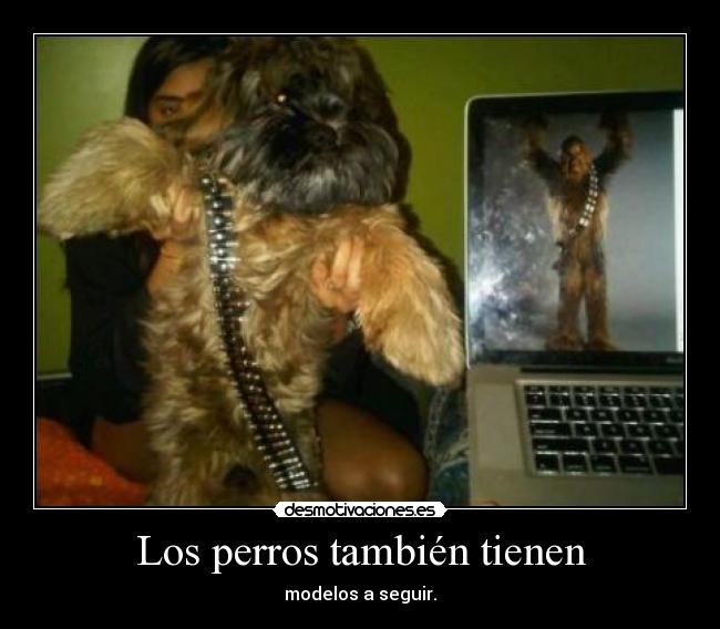 Los perros también tienen - 