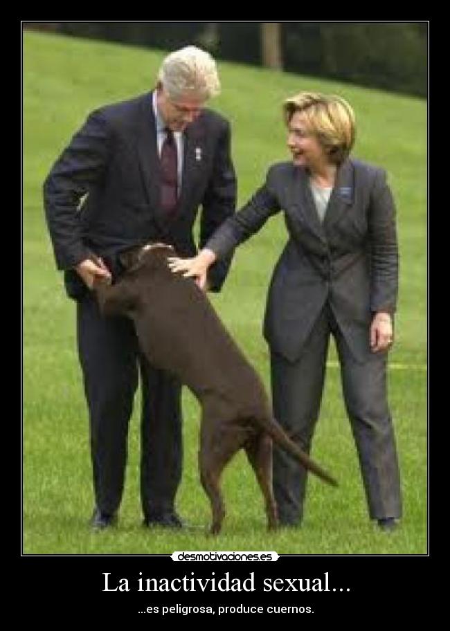 La inactividad sexual... - ...es peligrosa, produce cuernos.