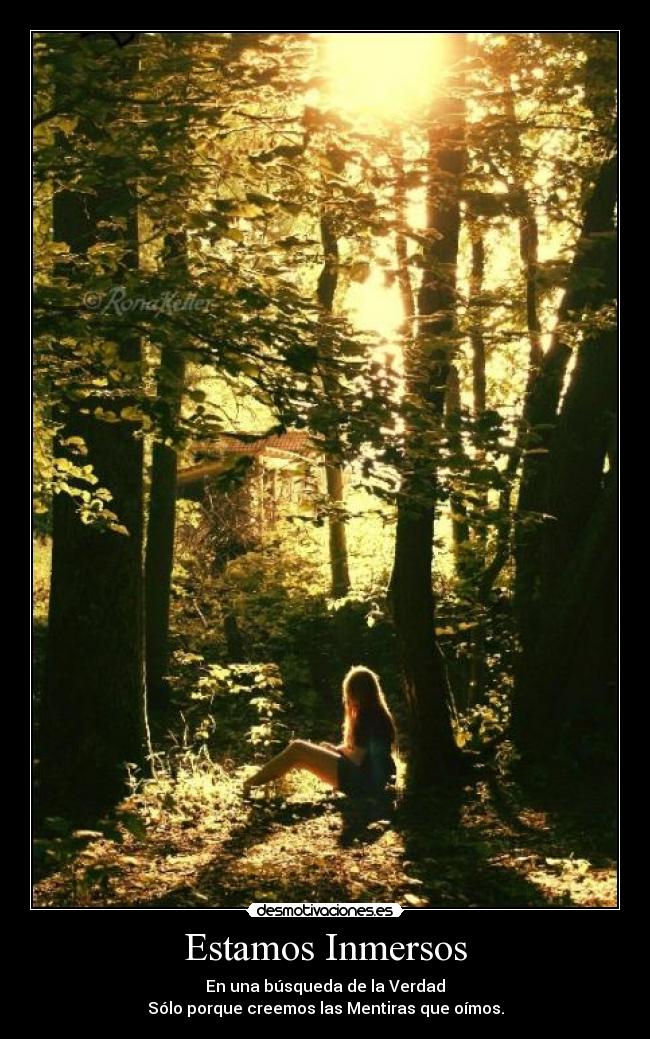 Estamos Inmersos -