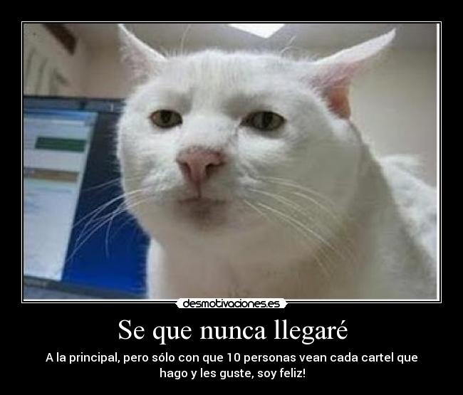 Se que nunca llegaré -