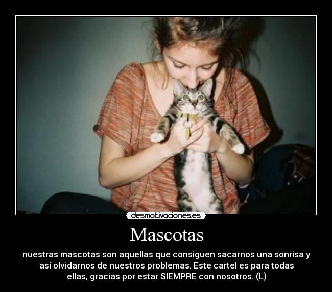 Mascotas -