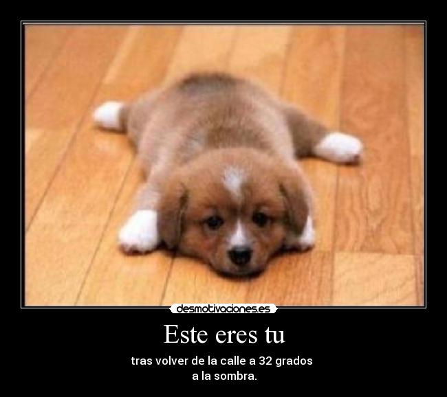 Este eres tu - tras volver de la calle a 32 grados
a la sombra.