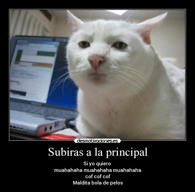 Subiras a la principal - Si yo quiero
muahahaha muahahaha muahahaha
cof cof cof
Maldita bola de pelos
