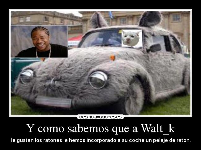 Y como sabemos que a Walt_k - 
