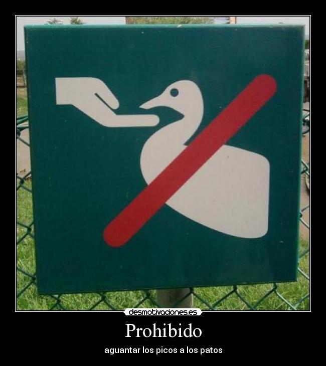 Prohibido -