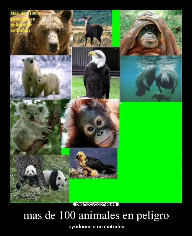 mas de 100 animales en peligro -