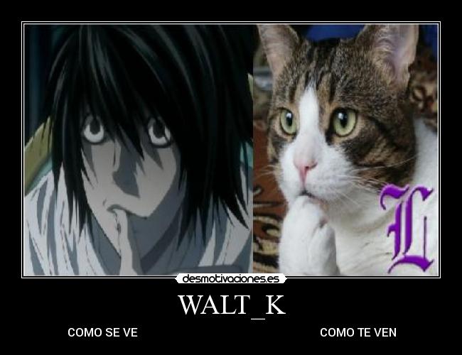 WALT_K - COMO SE VE COMO TE VEN