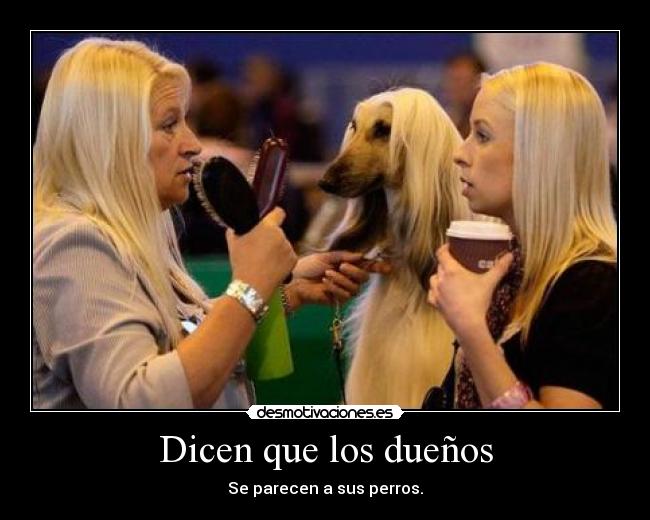 Dicen que los dueños -