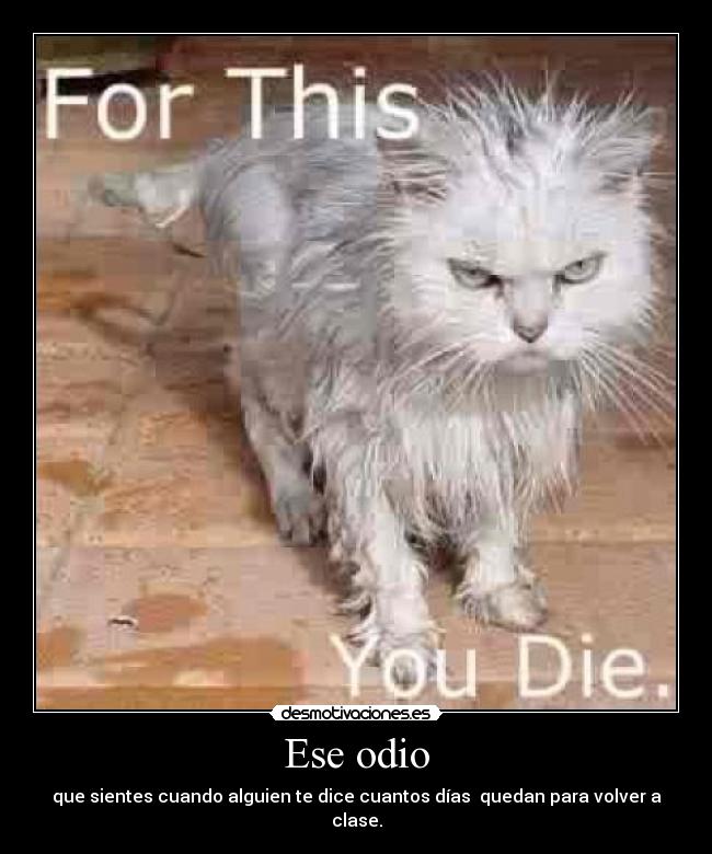 Ese odio - que sientes cuando alguien te dice cuantos días  quedan para volver a clase.