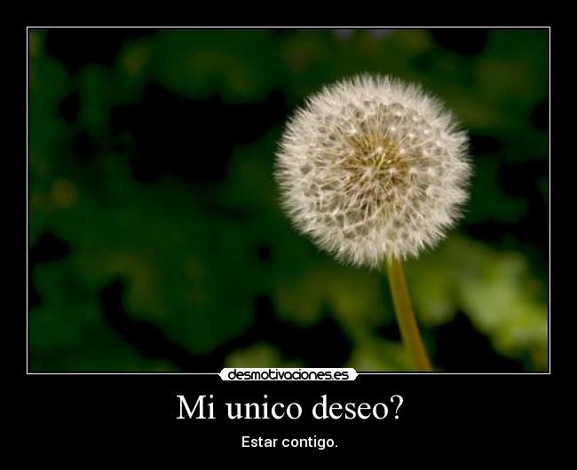 Mi unico deseo? - Estar contigo.
