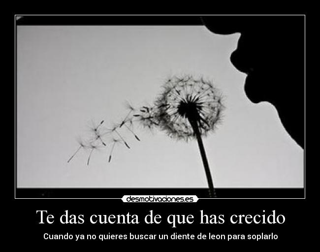 Te das cuenta de que has crecido - 