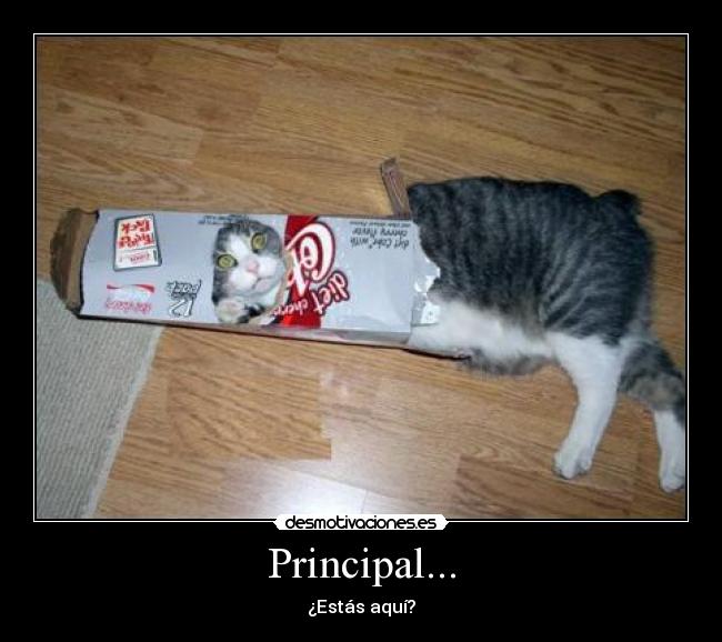 Principal... -