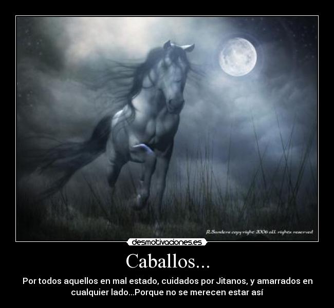 Caballos... -