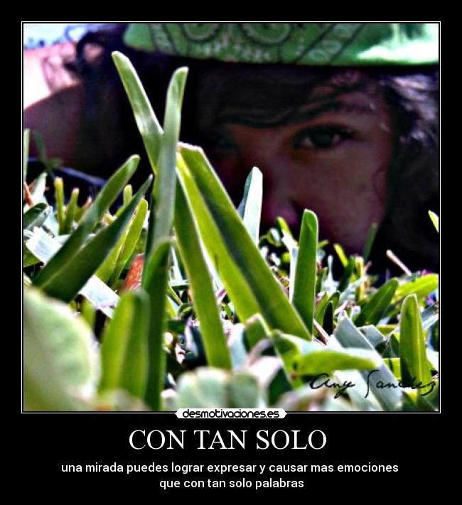 CON TAN SOLO -