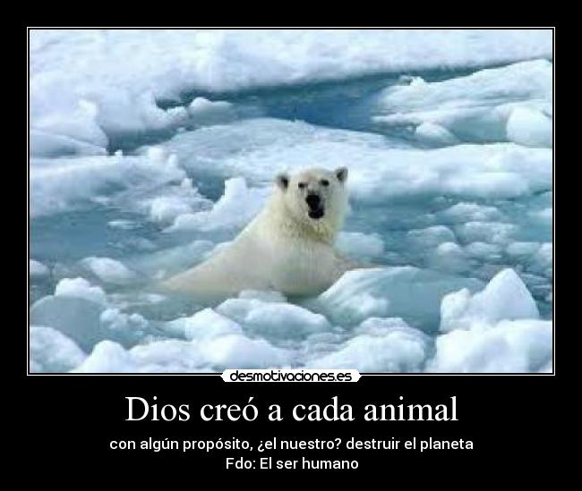 Dios creó a cada animal - 