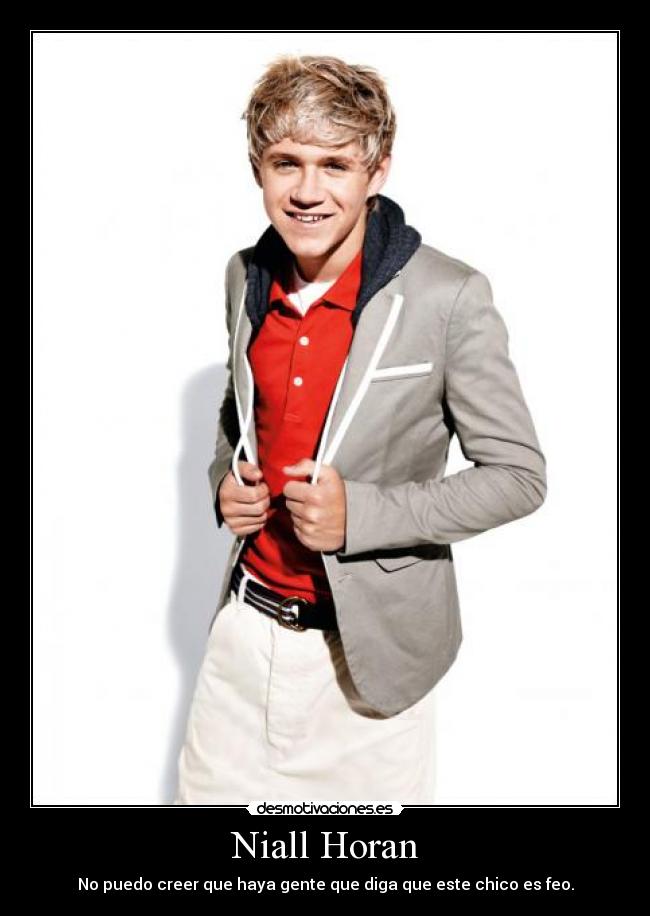 Niall Horan - No puedo creer que haya gente que diga que este chico es feo.