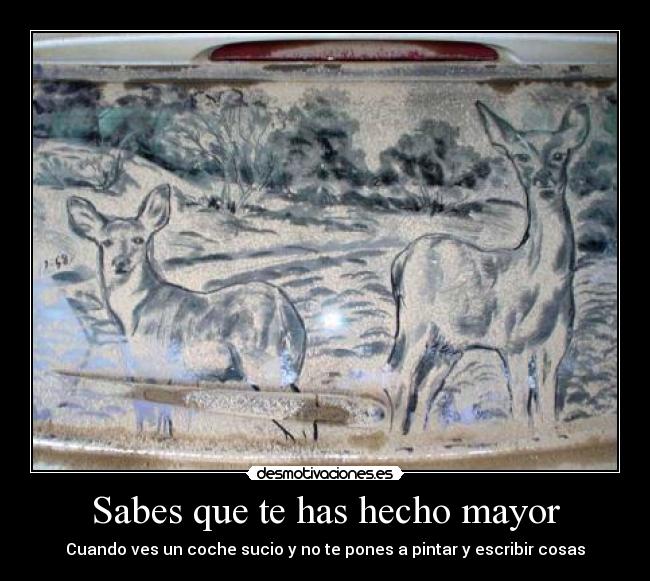 Sabes que te has hecho mayor - Cuando ves un coche sucio y no te pones a pintar y escribir cosas