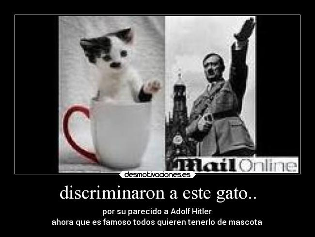 discriminaron a este gato.. -