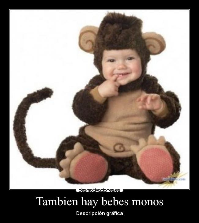 carteles bebes monos desmotivaciones