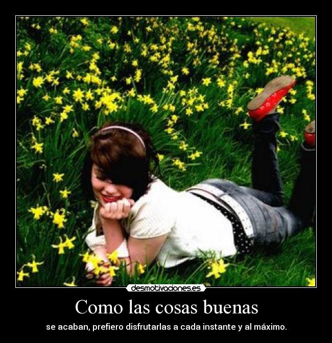 Como las cosas buenas - 