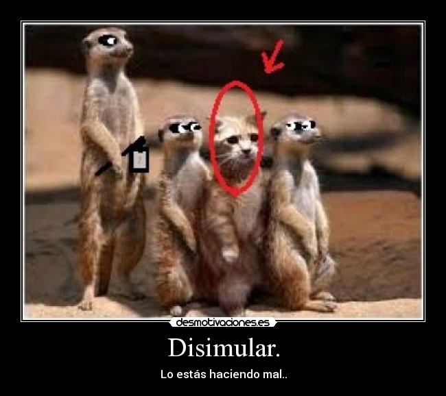 Disimular. - Lo estás haciendo mal..