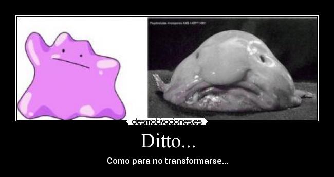 Ditto... -