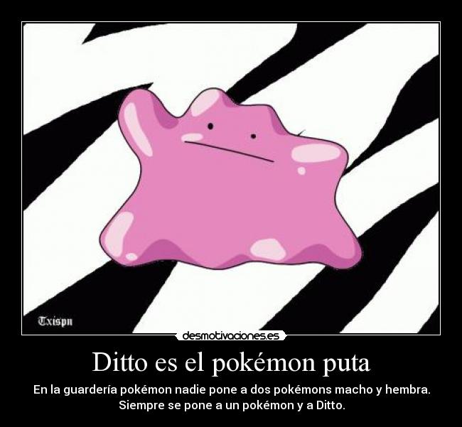 Ditto es el pokémon puta - En la guardería pokémon nadie pone a dos pokémons macho y hembra.
Siempre se pone a un pokémon y a Ditto.
