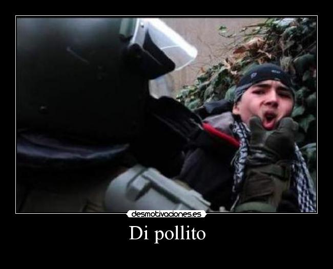 Di pollito - 