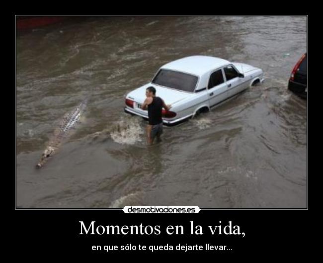 carteles vida momentos vida lagarto cocodrilo agua carro inundacion desmotivaciones