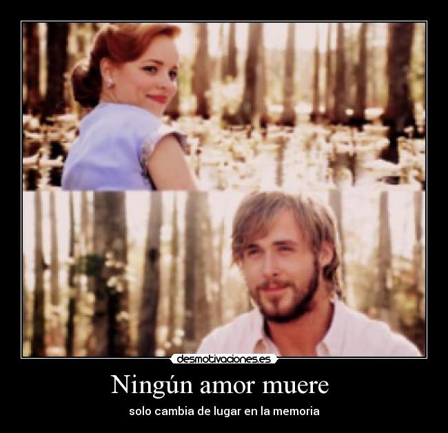 Ningún amor muere -