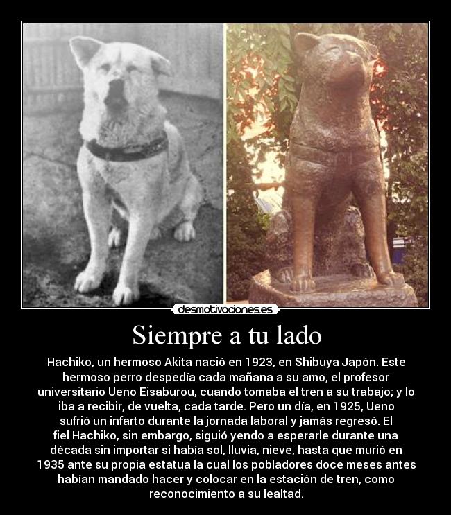 carteles hachiko siempre lado ueno desmotivaciones