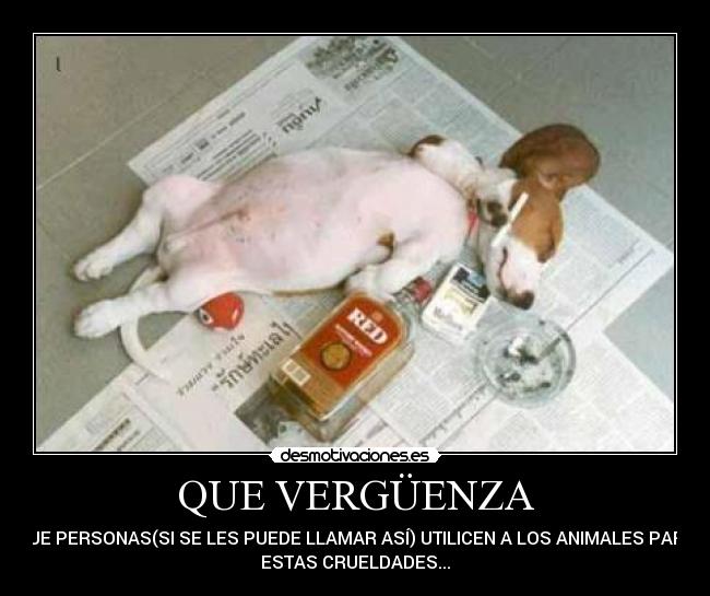 QUE VERGÜENZA - 