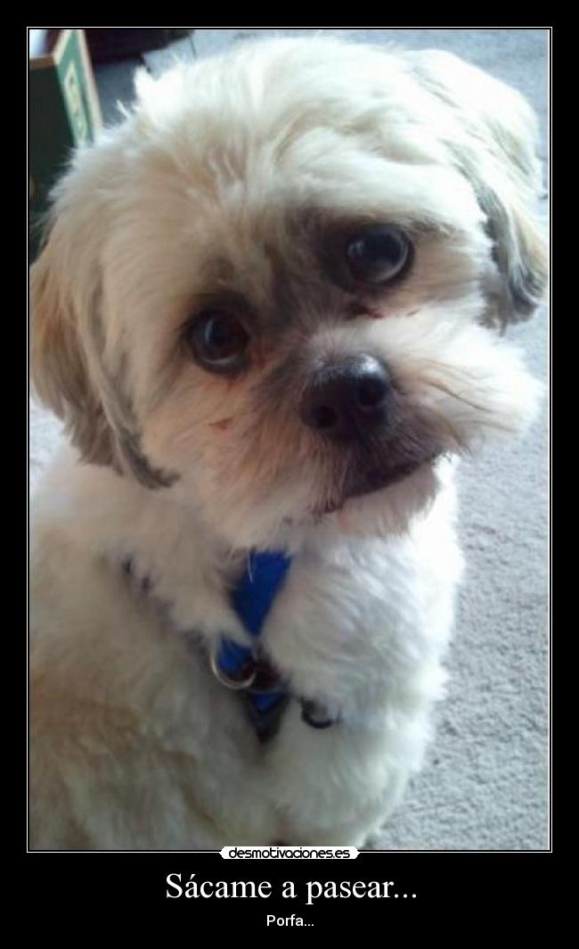 Sácame a pasear... -