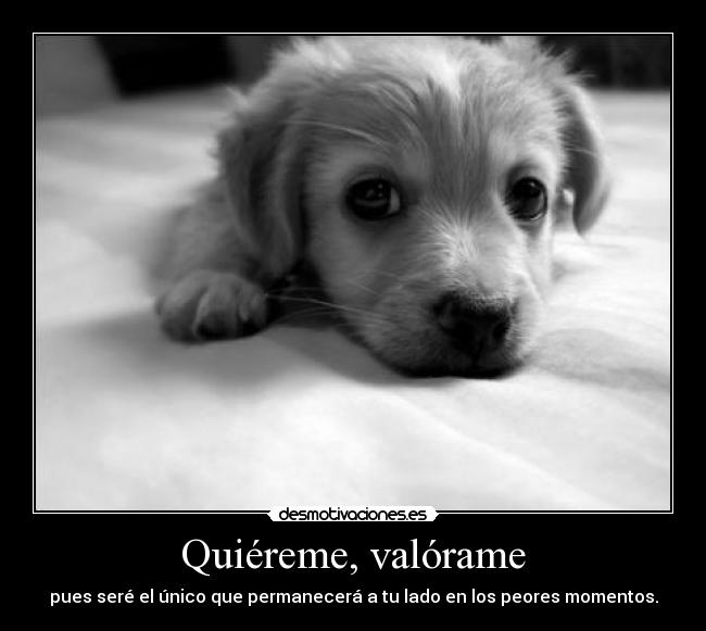 Quiéreme, valórame - pues seré el único que permanecerá a tu lado en los peores momentos.